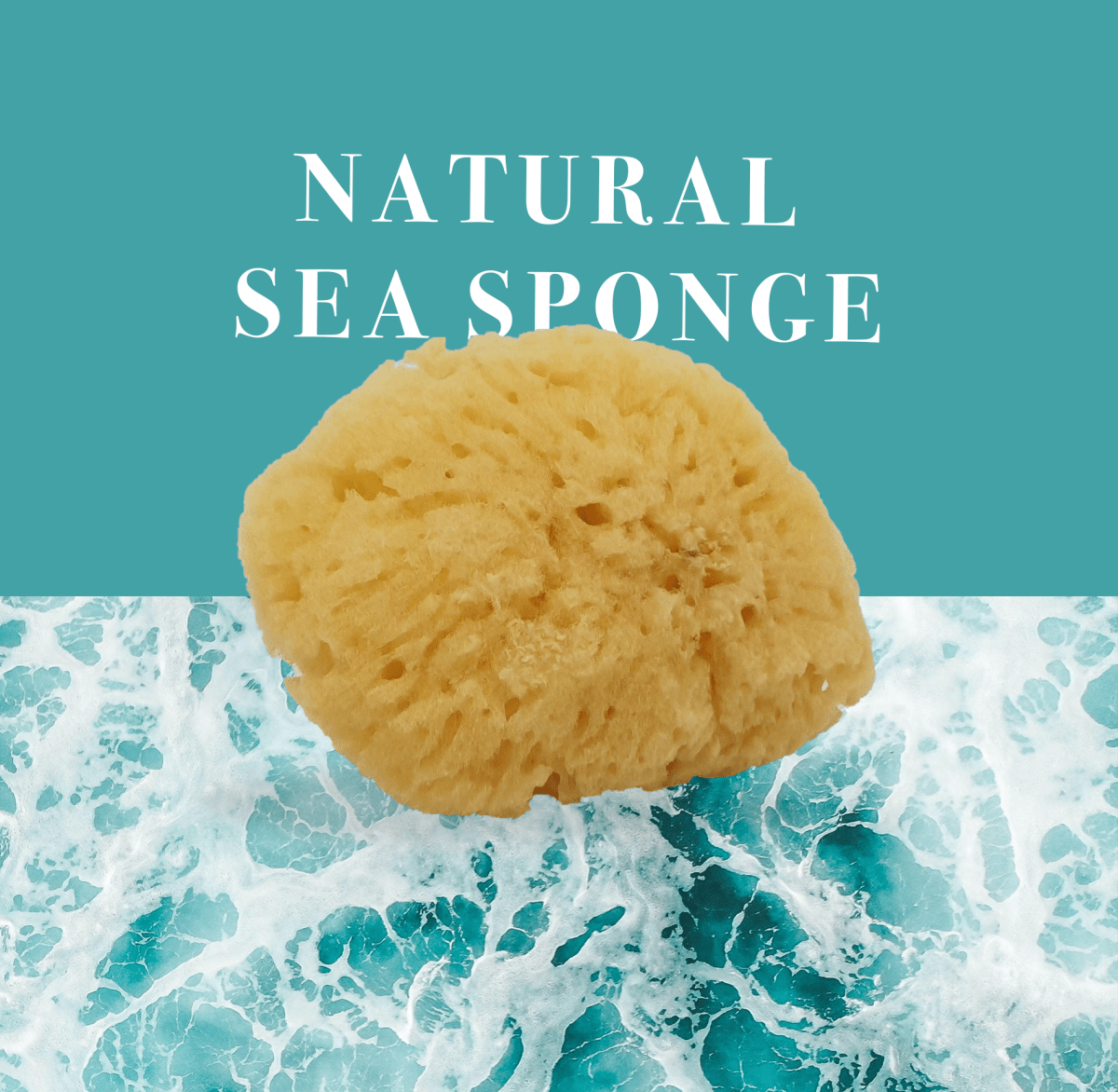 Natural Sea Sponge