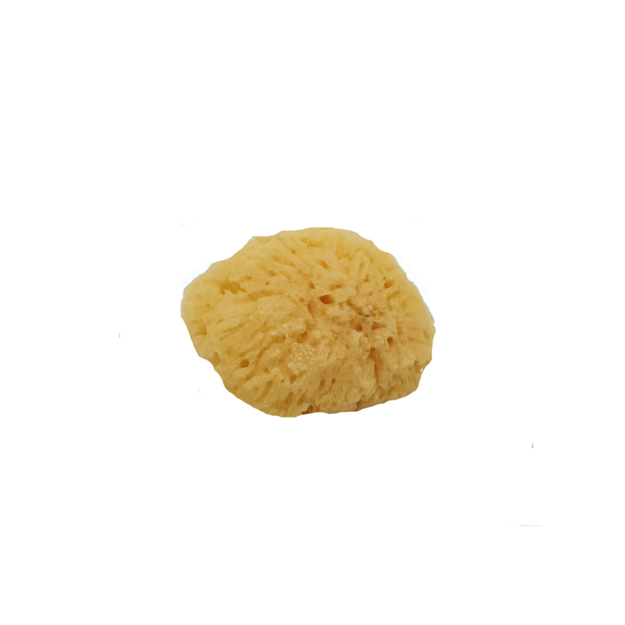 Natural Sea Sponge